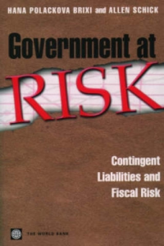 Government at Risk
