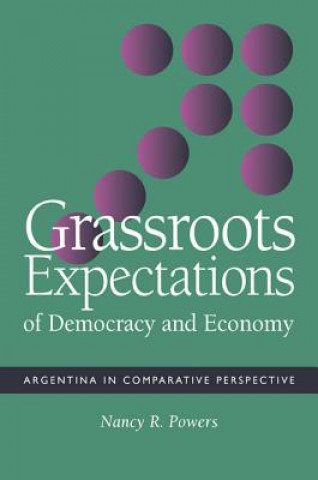 Grassroots Expectations of Democracy and Economy