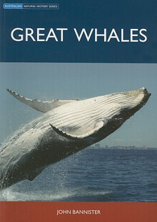 Great Whales