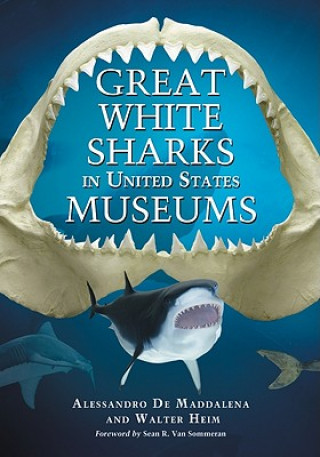 Great White Sharks in United States Museums