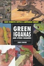 Green Iguanas and Other Iguanids