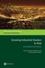 Growing Industrial Clusters in Asia