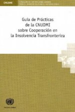 Guia de Practicas de la Cnudmi Sobre Cooperacion en la Insolvencia Transfronteriza