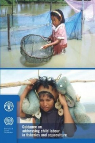 Guidance on addressing child labour in fisheries and aquaculture