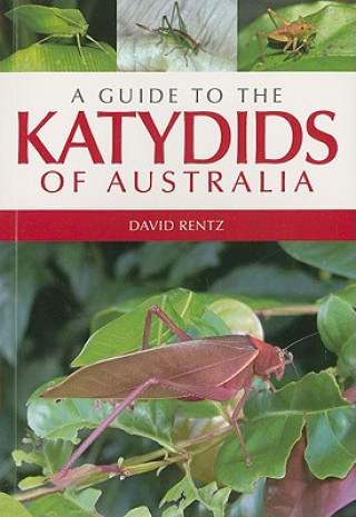 Guide to the Katydids of Australia