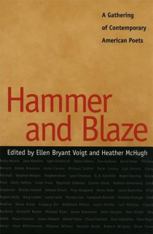 Hammer and Blaze