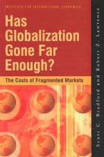 Has Globalization Gone Far Enough? - The Costs of Fragmented Markets