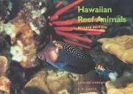 Hawaiian Reef Animals