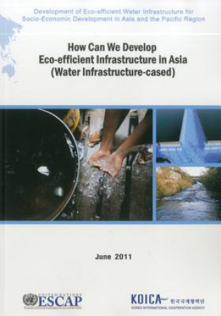 How Can We Develop Eco-efficient Infrastructure in Asia