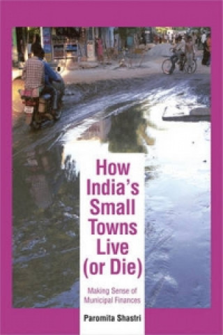 How India's Small Towns Live (Or Die)