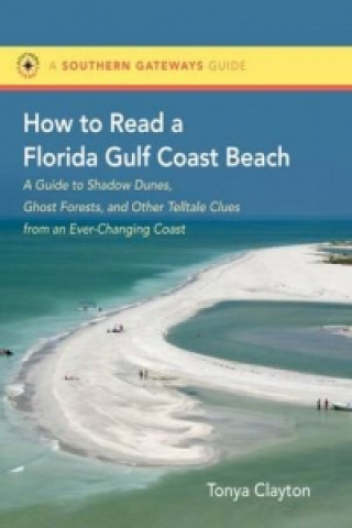 How to Read a Florida Gulf Beach