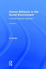 Human Behavior in the Social Environment