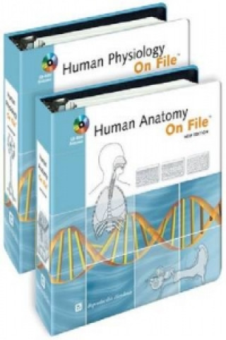 Human Body on File