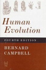 Human Evolution