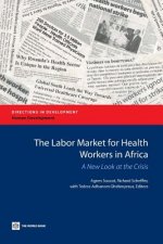 Labor Market for Health Workers in Africa