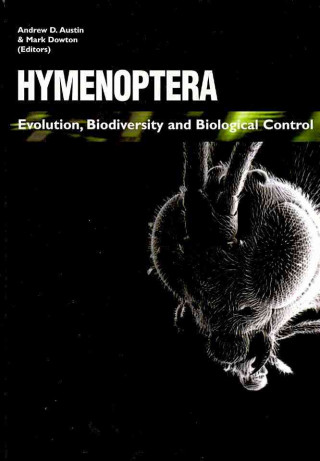 Hymenoptera