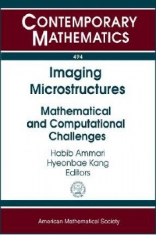 Imaging Microstructures