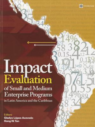 Impact Evaluation of Small and Medium Enterprise Programs in Latin America and the Caribbean