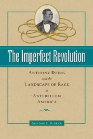 Imperfect Revolution
