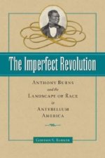Imperfect Revolution