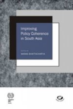Improving Policy Coherence in South Asia