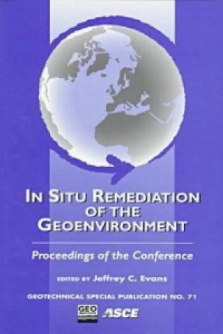 In-situ Remediation of the Geoenvironment