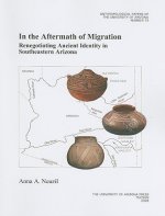 In the Aftermath of Migration