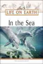 In the Sea