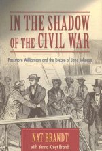 In the Shadow of the Civil War