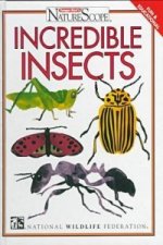 Incredible Insects