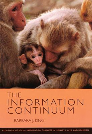 Information Continuum
