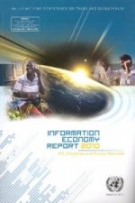 Information Economy Report