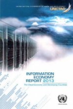 Information economy report 2013