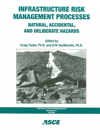 Infrastructure Risk Management Processes