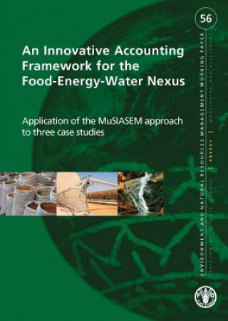 Innovative accounting framework for food-energy-water nexus