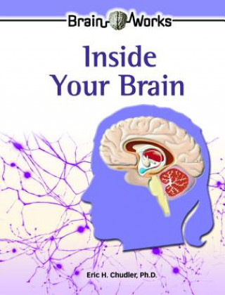 Inside Your Brain