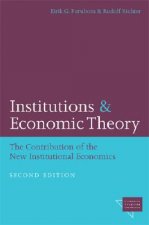 Institutions and Economic Theory