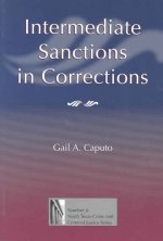 Intermediate Sanctions in Corrections