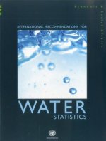 International recommendations for water statistics