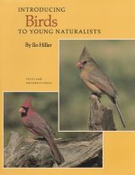 Introducing Birds