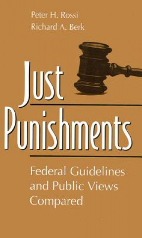 Just Punishments