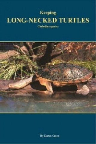Keeping Long-necked turtles