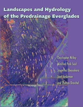 Landscapes And Hydrology Of The Predrainage Everglades