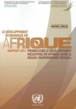 Developpement Economique En Afrique Rapport 2011: