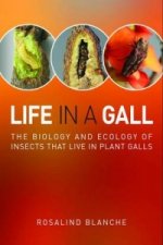 Life in a Gall