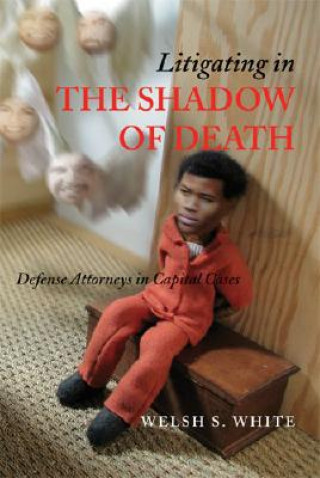 Litigating in the Shadow of Death