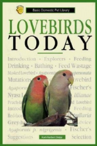 Lovebirds Today