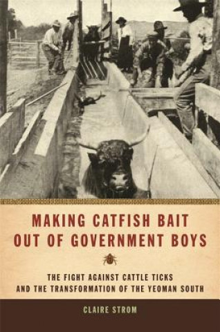 Making Catfish Bait Out of Government Boys