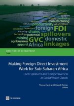 Making foreign direct investment work for sub-Saharan Africa