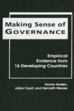 Making Sense of Governance